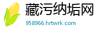 藏污纳垢网
